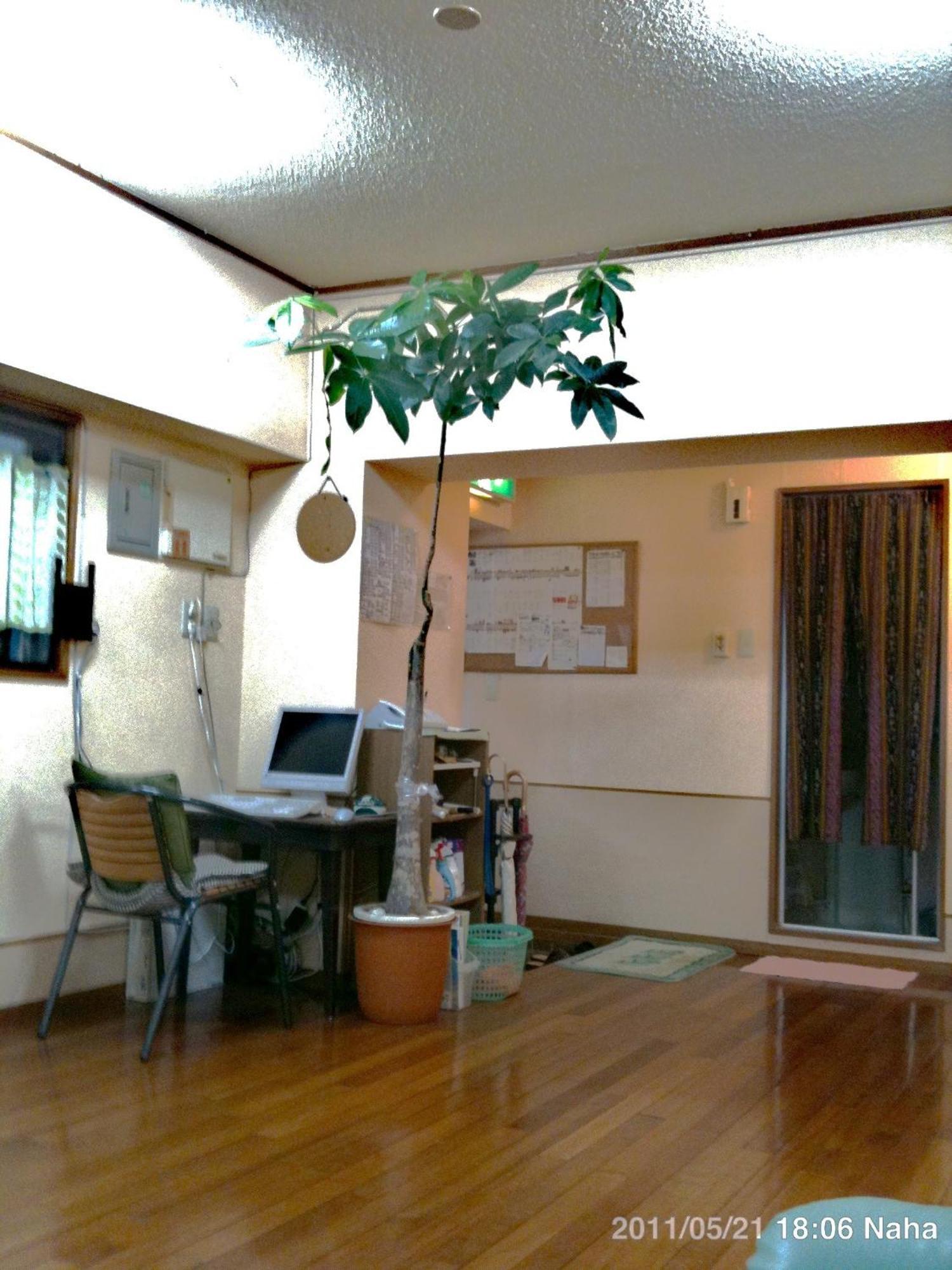 Hostel Hakuseiso Naha Exterior photo